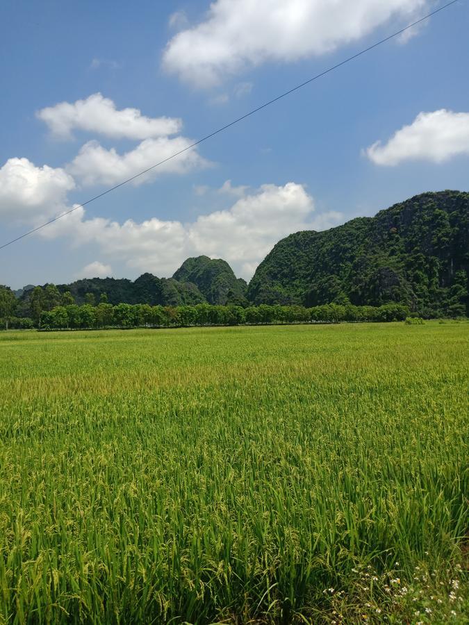 Tam Coc Valley Bungalow Ninh Bình Ngoại thất bức ảnh